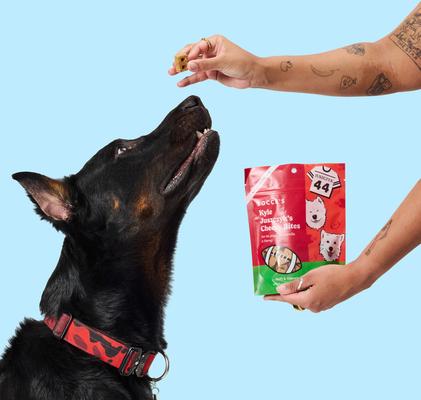 Kyle Juszxyk’s Cheesy Bites Soft & Chewy Dog Treats, 6-oz bag