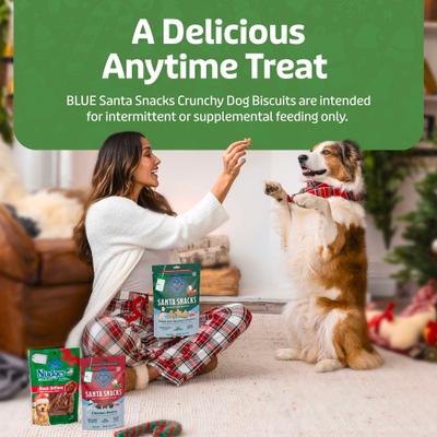 Christmas Santa Snacks Crunchy Dog Biscuits, Natural Holiday Treats, Baked with Oatmeal & Cinnamon Recipe, 11-oz bag