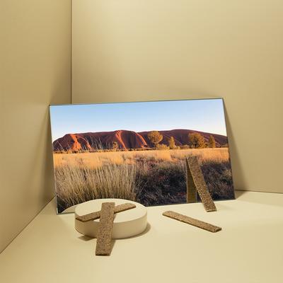 Wild Billy Goat Chicken-Free Jerky Dog Treats, 5-oz pouch