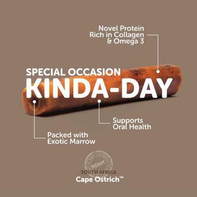 Assorted Novel Protein Sampler Value Pack Dog Bones