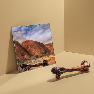 Large Chopper Outback Kangaroo Femur Dog Bone