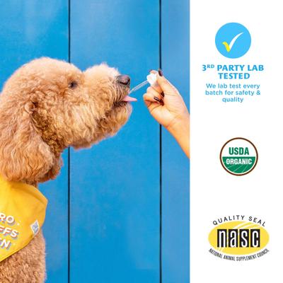 Organic 1000mg Full Spectrum Hemp Extract Tinctures Calming Supplement for Dogs, 1-fl oz bottle