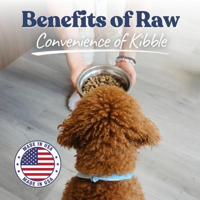 Lamb & Salmon Bites Freeze-Dried Raw Dog Food Kibble-Style, 14-oz bag