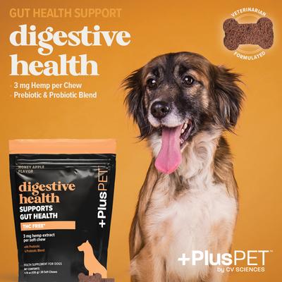 Suplemento masticable suave de cáñamo de amplio espectro con sabor a manzana para la salud digestiva de perros, 30 unidades