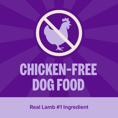 Simple Limited Ingredient Diet Lamb & Oatmeal Formula Dry Dog Food, 26-lb bag