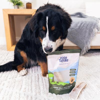 Elk Antler Split Dog Treat, Large