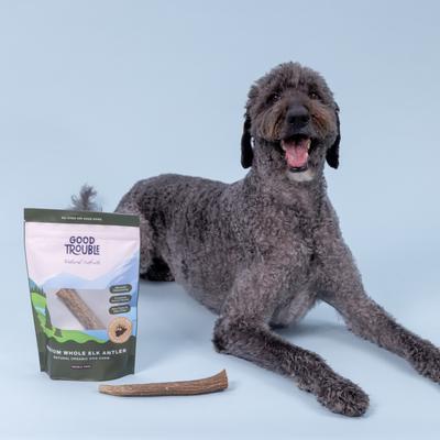 Elk Antler Whole Dog Treats, Medium, 2 count