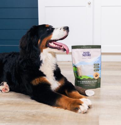 Elk Antler Whole Dog Treats, Large, 2 count