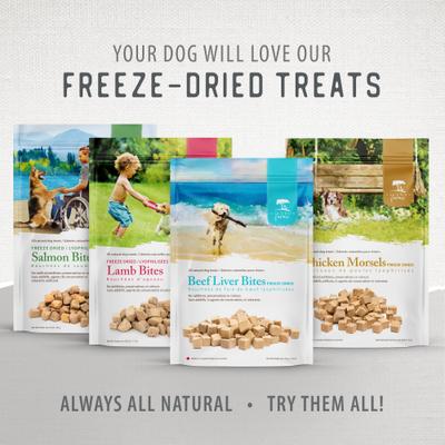 Lamb Bites Freeze-Dried Dog Treats, 4.1-oz bag