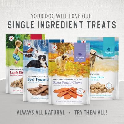 Sweet Potato Chews Dog Treats, 9.3-oz bag