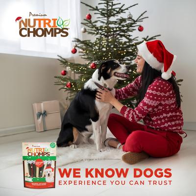 5-inch Real Mint Flavored Sticks Hard Chew Dog Treats, 15 count