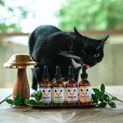 Vitality Mushroom Extract & Adaptogen Blend Immune Liquid Supplement for Cats, 2-oz bottle