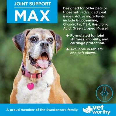 Max Sot Chew Joint Support Supplement for Dogs, 60 count