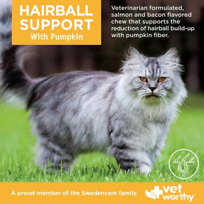 Feline Hairball Support with Pumpkin Soft Chew Skin & Coat Supplement for Cats, 60 count