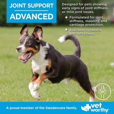 Advanced Chewable Tablet Joint Support Supplement for Dogs, 90 count