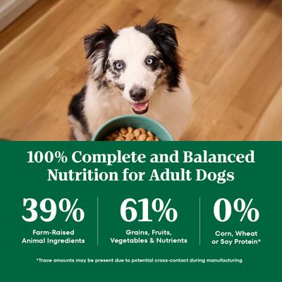 Natural Choice Adult Large Breed Healthy Weight Chicken & Brown Rice Recipe Dry Dog Food, 30-lb bag