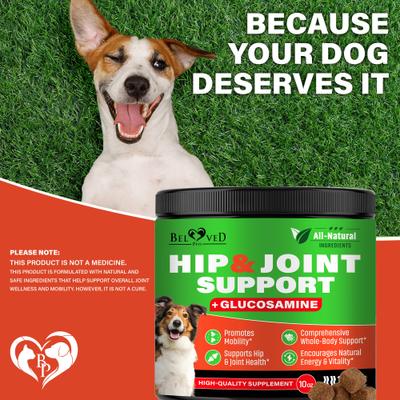 Glucosamine Bacon Flavored Chews Hip & Joint Support Supplement for Dogs, 10-oz bag