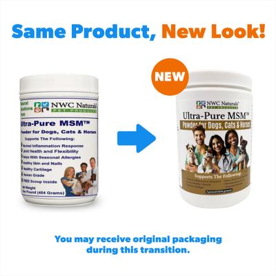 Ultra-Pure MSM Powder Dog, Cat & Horse Supplement, 1-lb bottle