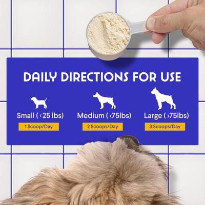 Superhero Turkey Tail Mushroom Powder Supplement for Dogs, 90-g jar