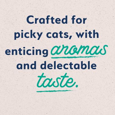 Original Ultra Grain-Free Chicken Recipe Canned Cat Food, 5.5-oz can, case of 24