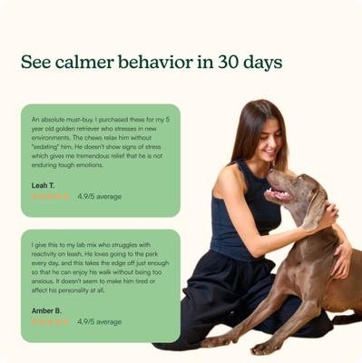 Anytime Peanut Flour & Pork Liver Flavored Soft Chew Calming Supplement for Dogs, 60 count