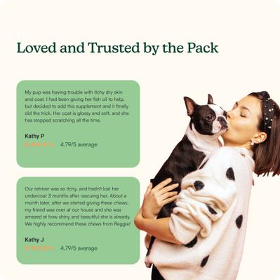 Evening Pork Flavored Soft Chew Skin & Coat Supplements for Dogs, 60 count