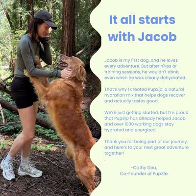 Berry Boost Natural Electrolytes & Hydration Mix Powder Supplement for Dogs, 12 count