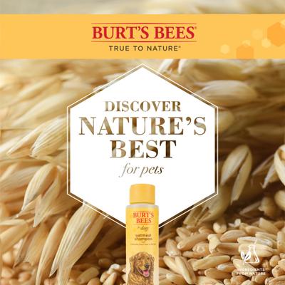 Bundle: Burt's Bees Oatmeal Shampoo, 16-oz bottle + Dog Conditioner, 10-oz bottle