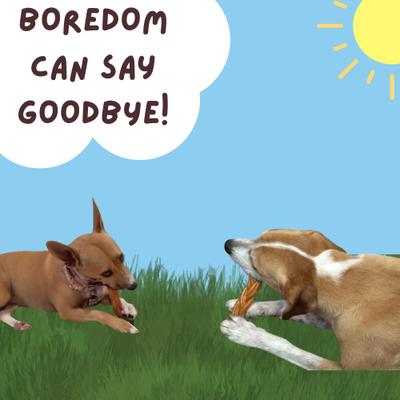 6-in Beef Collagen Braided Dog Treats, 6 count