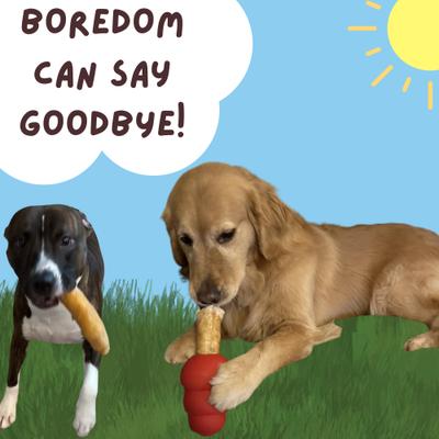 6-in Extra Thick Collagen Roll Dog Treats, 3 count