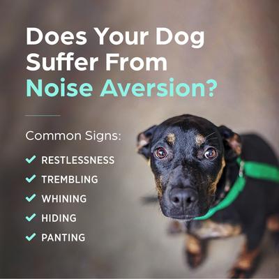 (dexmedetomidine oromucosal) Oromucosal Gel for Dogs, 0.09-mg/mL, 3-mL