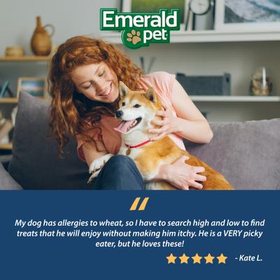 Pumpkin Harvest Mini Trainers Mixed Berry Soft & Chewy Dog Treats, 6-oz bag