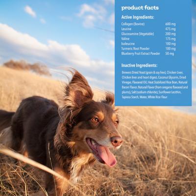 Muscle & Mobility Collagen Chews Dog Supplement, 180-g