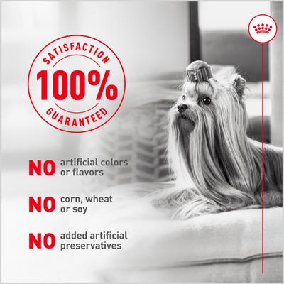 Alimento para perros mayores Fresh Health Nutrition, bolsa de 8.8 oz, paquete de 7