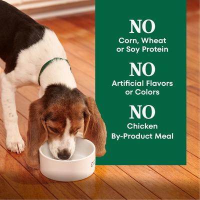 Natural Choice Puppy Large Breed Chicken & Brown Rice Recipe Dry Dog Food, 13-lb bag