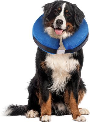 Collar inflable protector para recuperación de mascotas, suave y no obstruye la visión, para perros y gatos, color rosquilla y fresa, grande