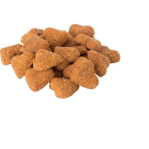 Mini premios para perros con queso cheddar horneado sin cereales, bolsa de 355 g