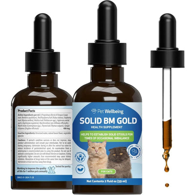 REV BM Tone-Up GOLD for Diarrhea for Cats. 60 ml. - Pet Wellbeing
