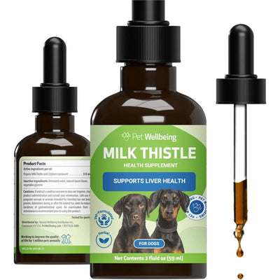 REV Milk Thistle Liquid Liver Supplement for Dogs, sabor Tocino. 60 ml. - Pet Wellbeing