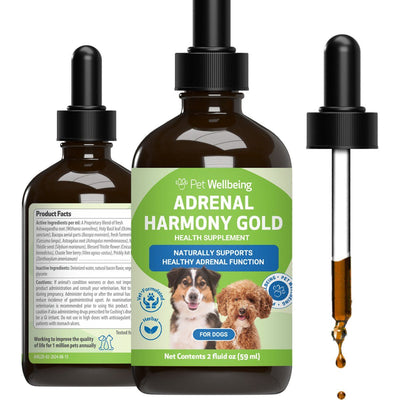 Adrenal Harmony Gold Liquid Supplement for Dogs, sabor Tocino. 120 ml. - Pet Wellbeing