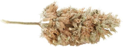 Purrple Passion Catnip Buds, Small