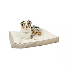 Armarkat Beige & Ivory Snowy Velvet Pillow Dog Bed