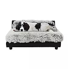 Club Nine Pets Roma Elevated Orthopedic Dog Bed