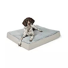 Top Paw Orthopedic Mattress