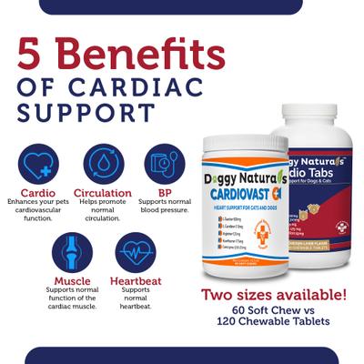 Cardiovast Heart Health Support Chicken Flavored Soft Chews Supplement for Cats & Dogs, 60 count