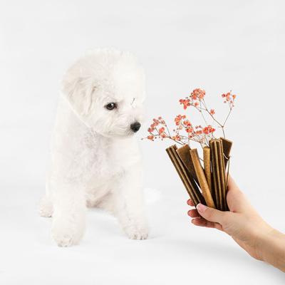 Superior Care Grain-Free White Fish Dental Dog Treats, 5.2-oz bag, 5 count