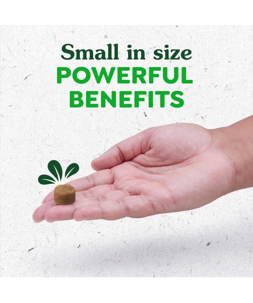 Greenies, Supplements Allergy and Immune Support sabor Crema de Cacahuate. 40 y 80 chews