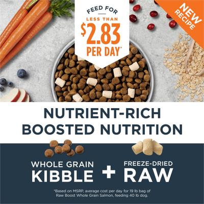 Raw Boost Whole Grain Real Salmon & Brown Rice Recipe Dry Dog Food, 3.5-lb bag
