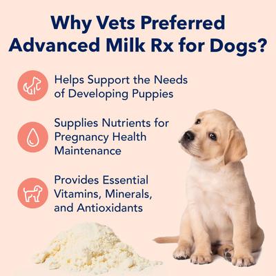 Advanced Milk Rx Dog Supplement, 12-oz jar