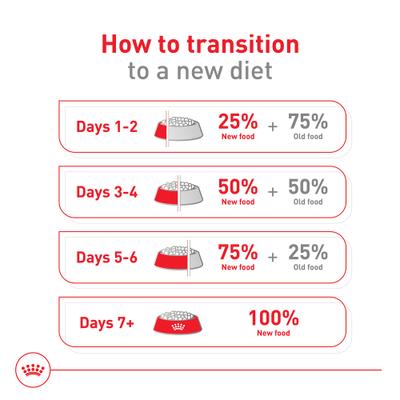 Size Health Nutrition Medium Aging 10+ Dry Dog Food, 30-lb bag